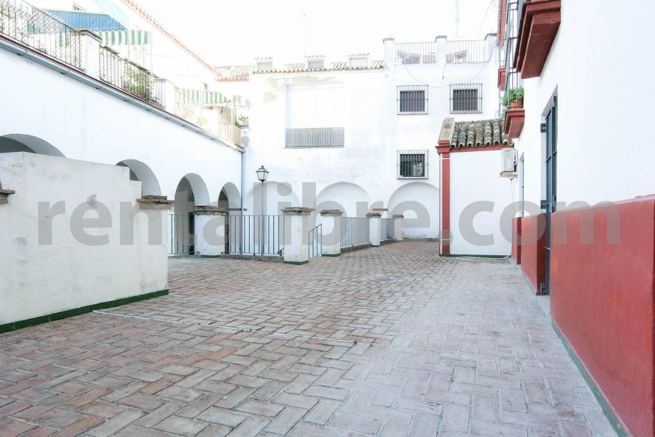 Loft24sanlucar Apartment *
