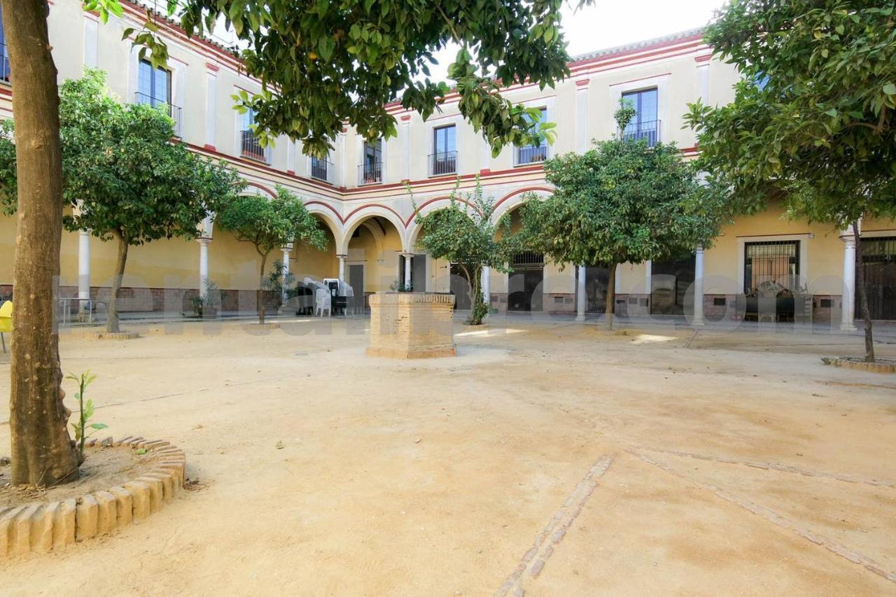 Loft24sanlucar Apartment
